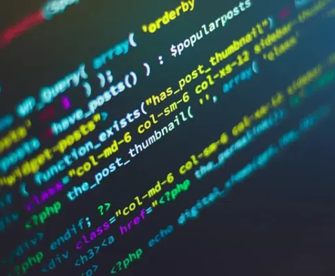 wordpress snipety